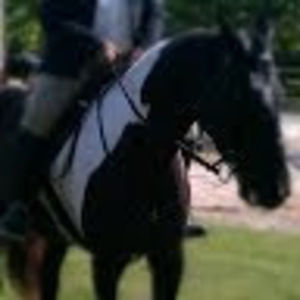 Meet your Posher, Petric